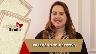 Explica Direito Filiação Socioafetiva  2019 [upl. by Ikairik]